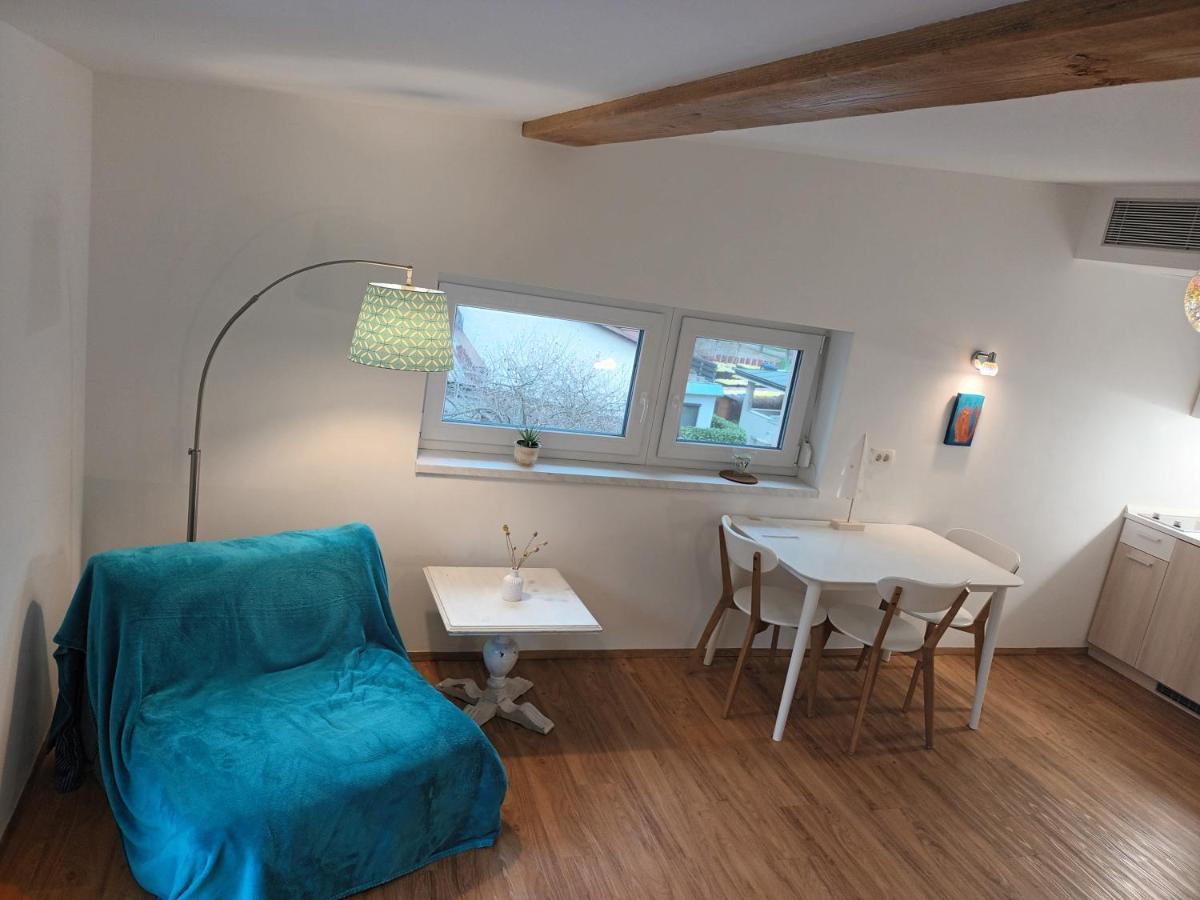 Accommodation Baron ليوبليانا المظهر الخارجي الصورة
