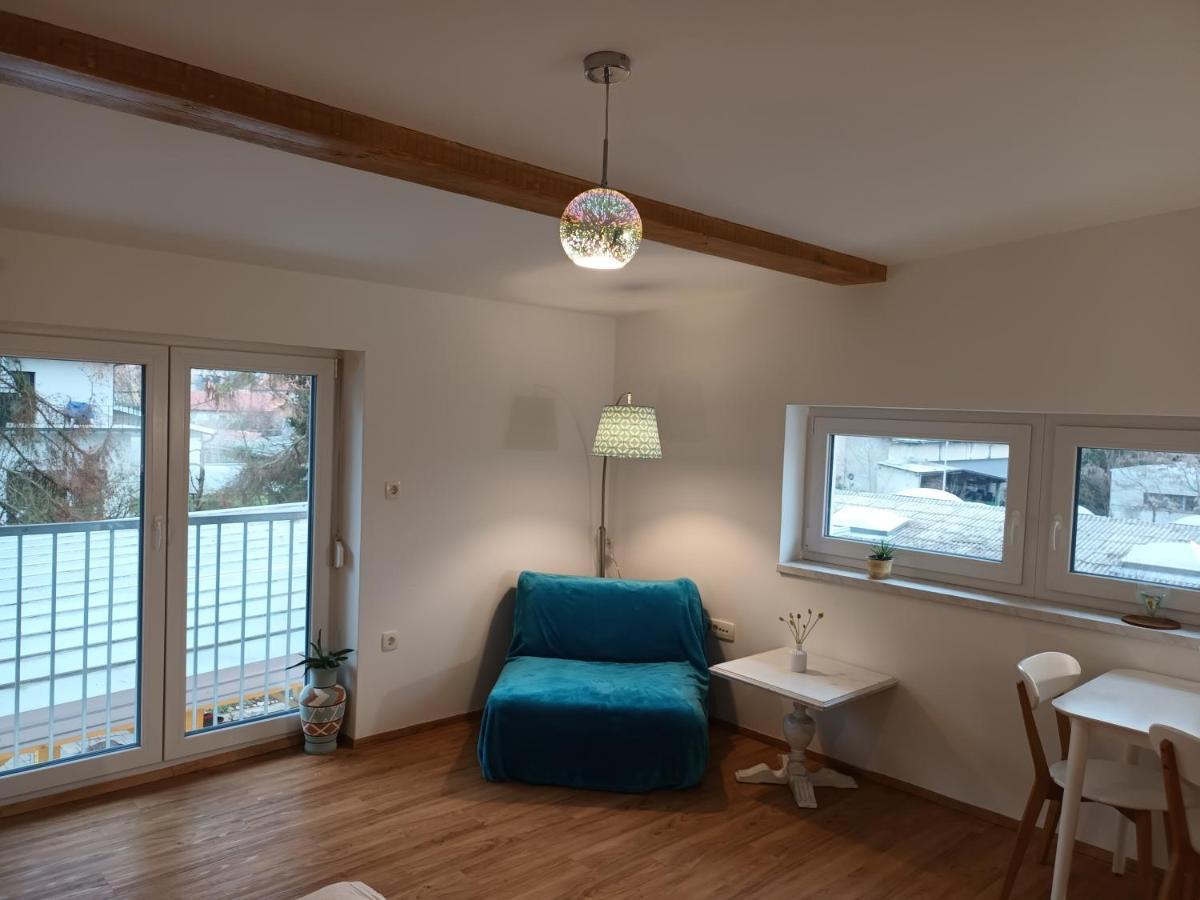 Accommodation Baron ليوبليانا المظهر الخارجي الصورة