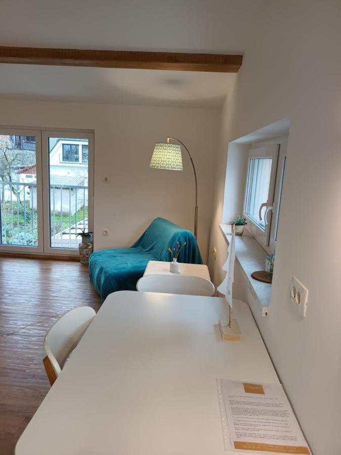 Accommodation Baron ليوبليانا المظهر الخارجي الصورة