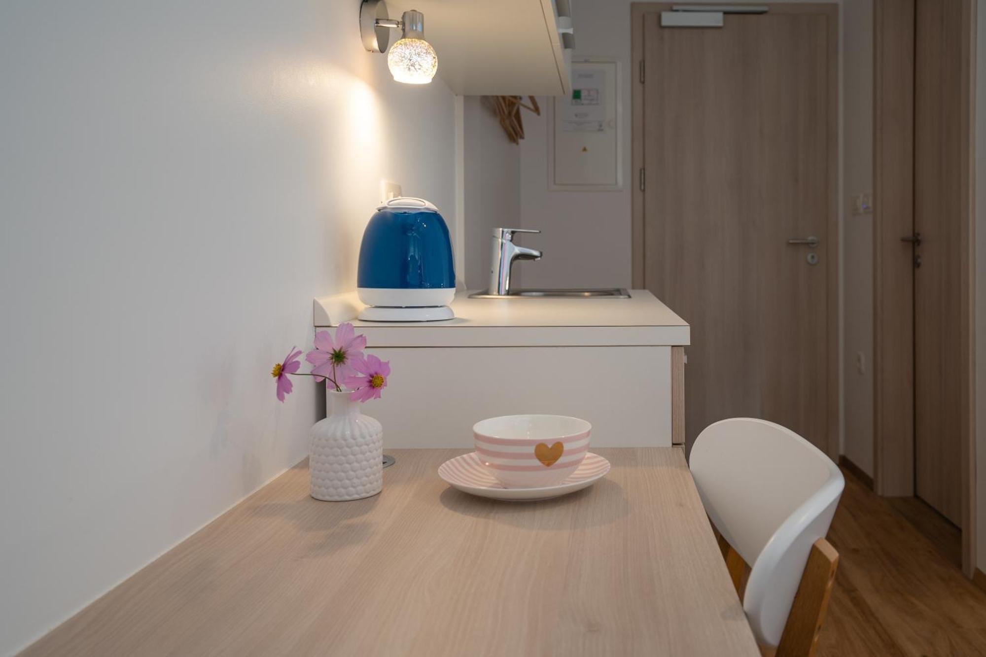 Accommodation Baron ليوبليانا الغرفة الصورة
